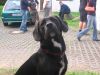 Bild_137.jpg